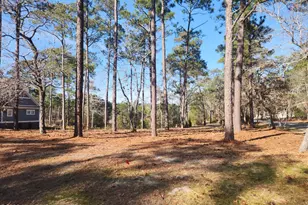 904 Snow Goose Dr, Shallotte, NC 28470 - Photo 1