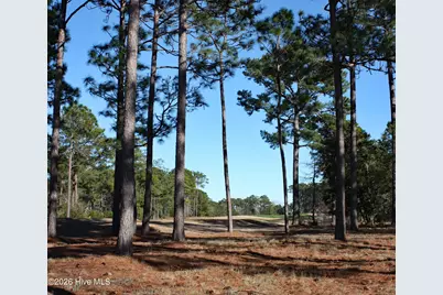 462 Laurel Valley Drive, Shallotte, NC 28470 - Photo 1