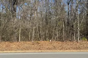 5468 River Rd, Vanceboro, NC 28586 - Photo 1