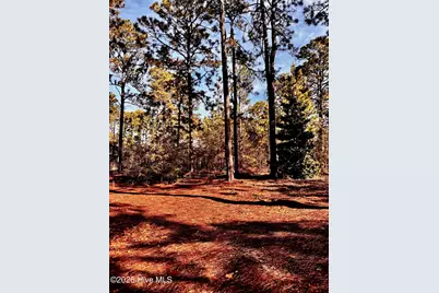 3 Greenock Court, Pinehurst, NC 28374 - Photo 1