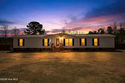 388 N Chubb Road, Willard, NC 28478 - Photo 1
