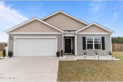 6220 Centipede Place, Castle Hayne, NC 28429 - Photo 1