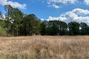 100 Cliffwell Dr, Goldsboro, NC 27530 - Photo 1