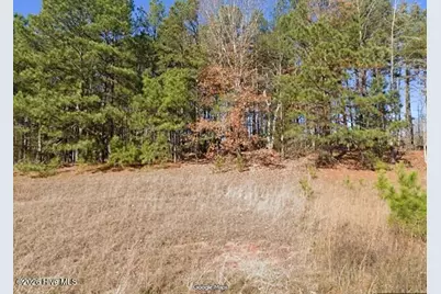 8224 Buckhorn Landing Road, Sims, NC 27880 - Photo 1