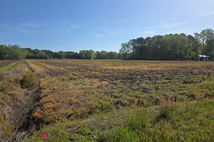 3917 Gaddy Rd, Fairmont, NC 28340 - Photo 1