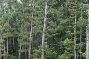 0 Bermuda Hill Hill, Trenton, SC 29847 - Photo 1