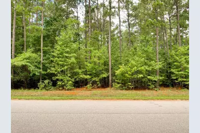 Lot 57 Lighthouse Pointe, Lincolnton, GA 30817 - Photo 1