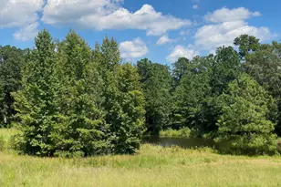 2839 Sellars Rd, Applin, GA 30802 - Photo 1