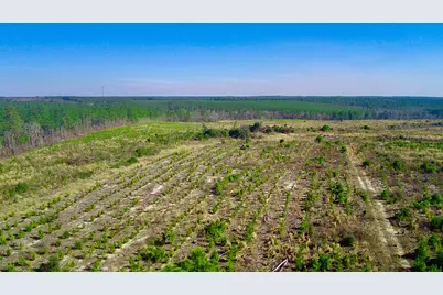 000 Three Notch Road, Monetta, SC 29105 - Photo 1