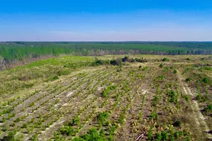 000 Three Notch Rd, Monetta, SC 29105 - Photo 1