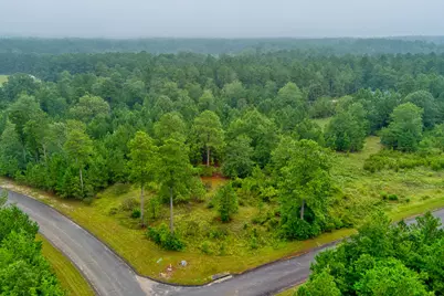 Lot 5 Cooks Pond Road, Windsor, SC 29856 - Photo 1
