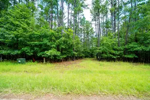 Lot 36 Savannah Ridge Rd, Lincolnton, GA 30817 - Photo 1