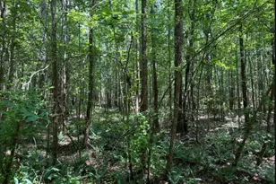 21Ac Atomic, Beech Island, SC 29842 - Photo 1