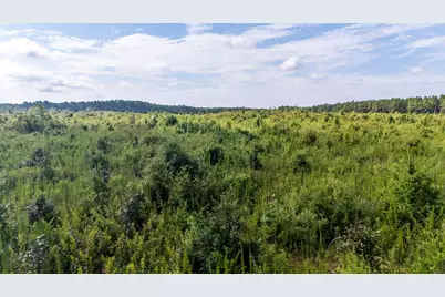 15Ac Ouzts Road, Edgefield, SC 29824 - Photo 1