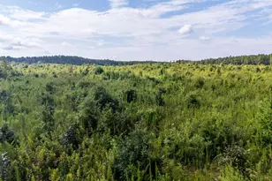 15Ac Ouzts Rd, Edgefield, SC 29824 - Photo 1