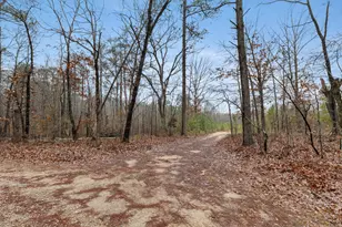 610 Forest Service, Clarks Hill, SC 29821 - Photo 1