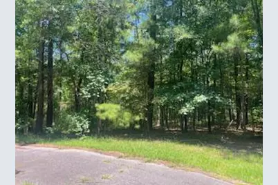 Bl33 L29 Bordeaux Place, McCormick, SC 29835 - Photo 1