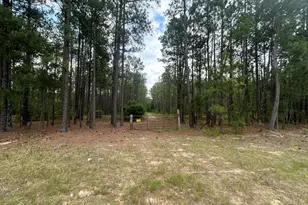 0 Chalk Bed Rd, Graniteville, SC 29829 - Photo 1