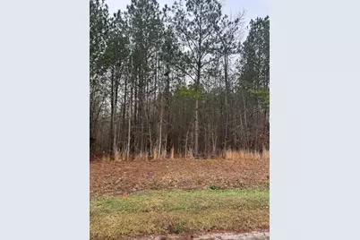 40 Landing Loop, Lincolnton, GA 30817 - Photo 1