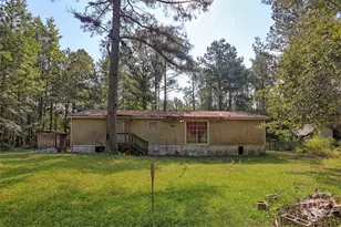 5209 May Rd, Ellabell, GA 31308 - Photo 1