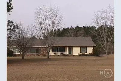 1388 Pine Level Church Road, Alma, GA 31510 - Photo 1