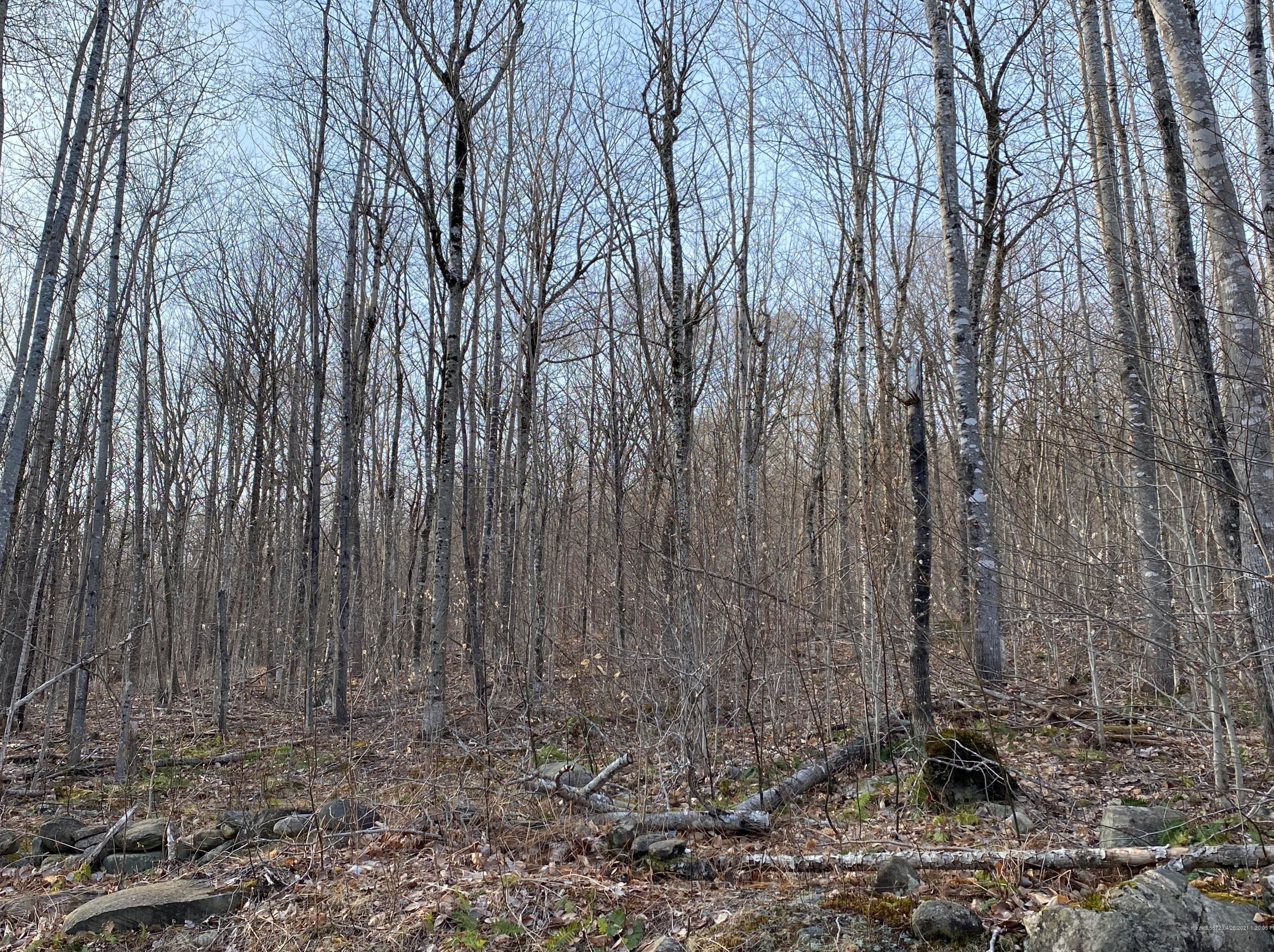 90 Sunset Dr, Sebec ME  04481-3033 exterior