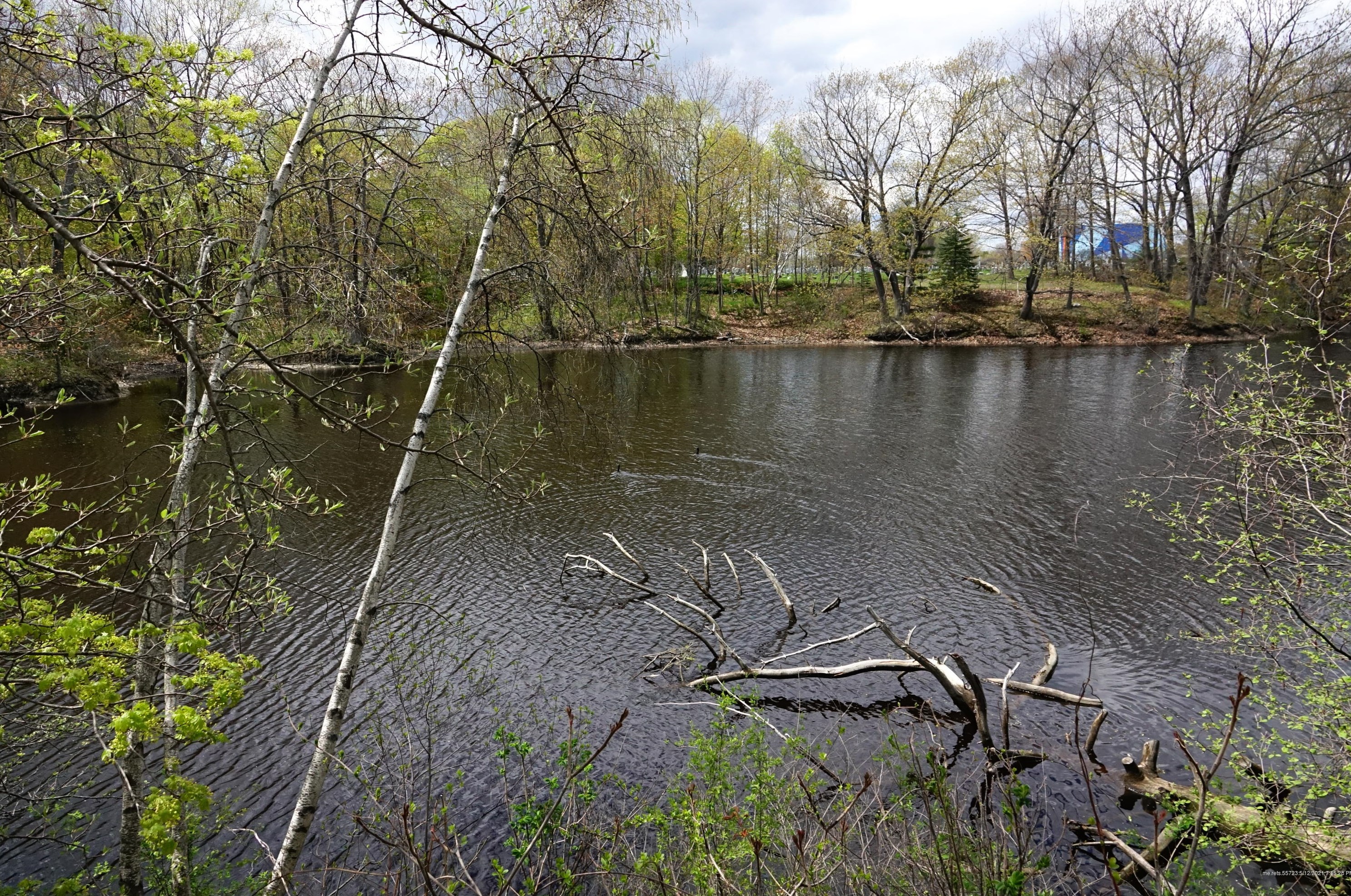 5 Cox St, Portland ME  04106-2635 exterior