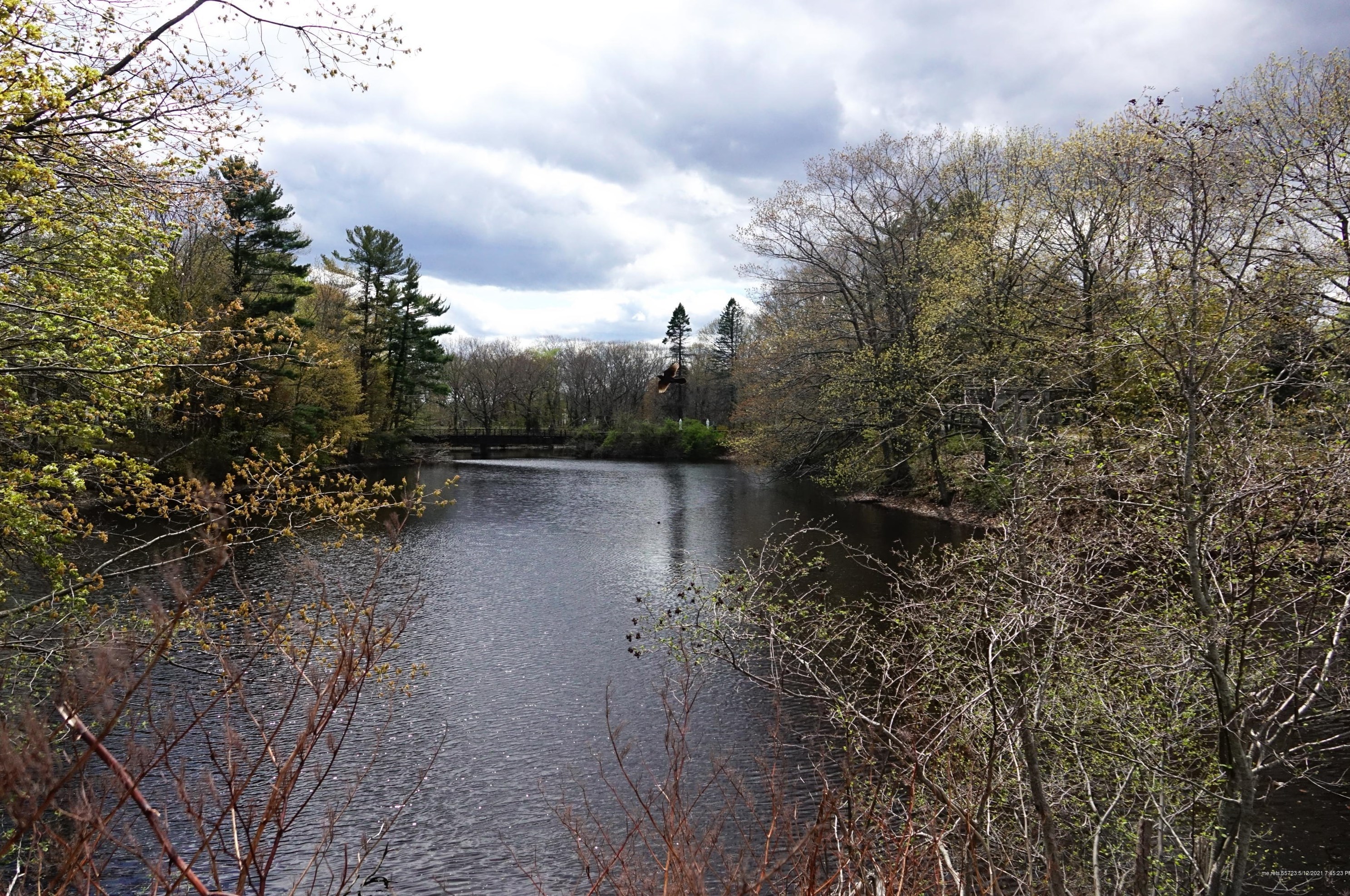 5 Cox St, Portland ME  04106-2635 exterior