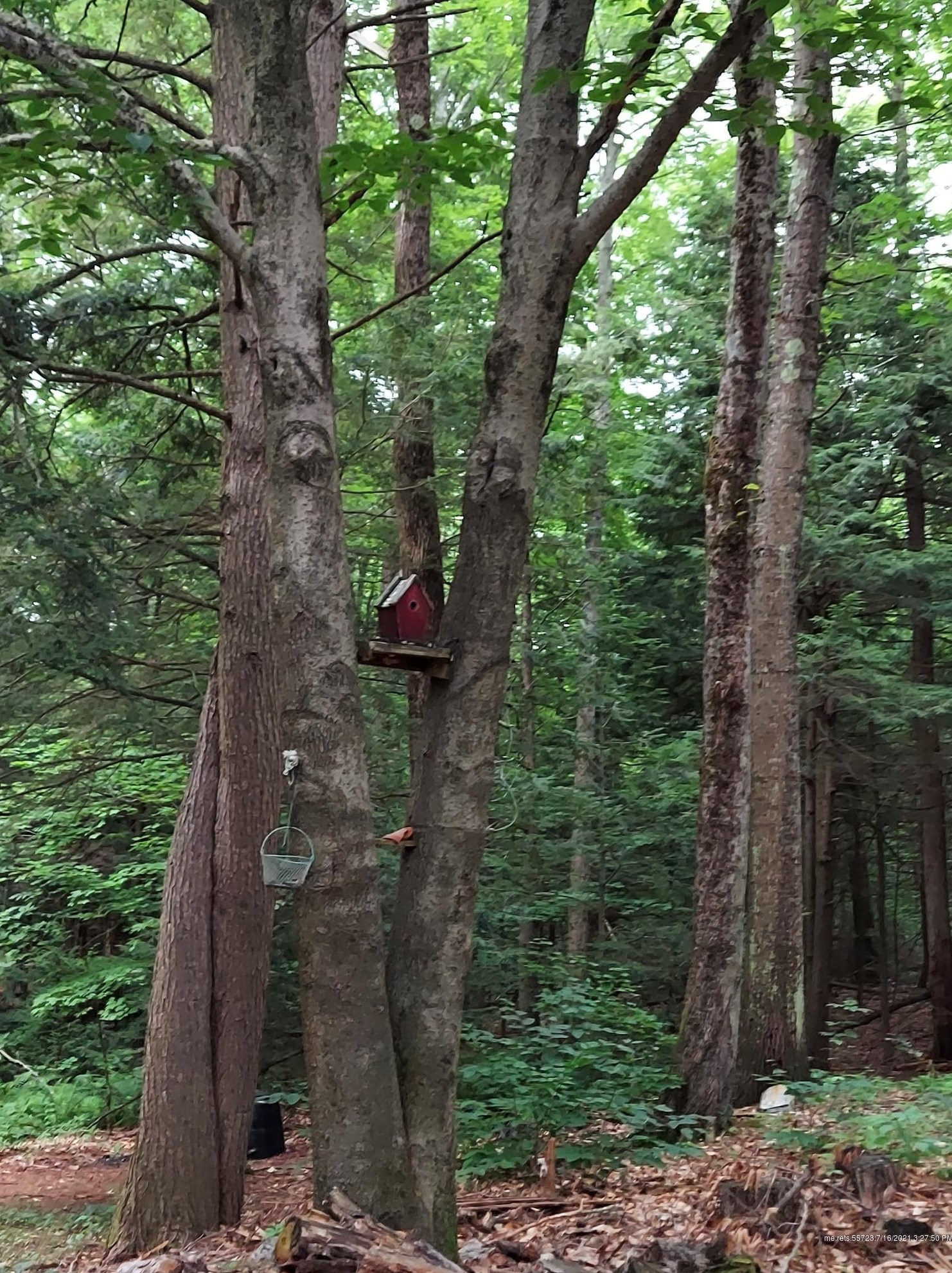 12 Hemlock Dr, Durham ME  04222-5106 exterior