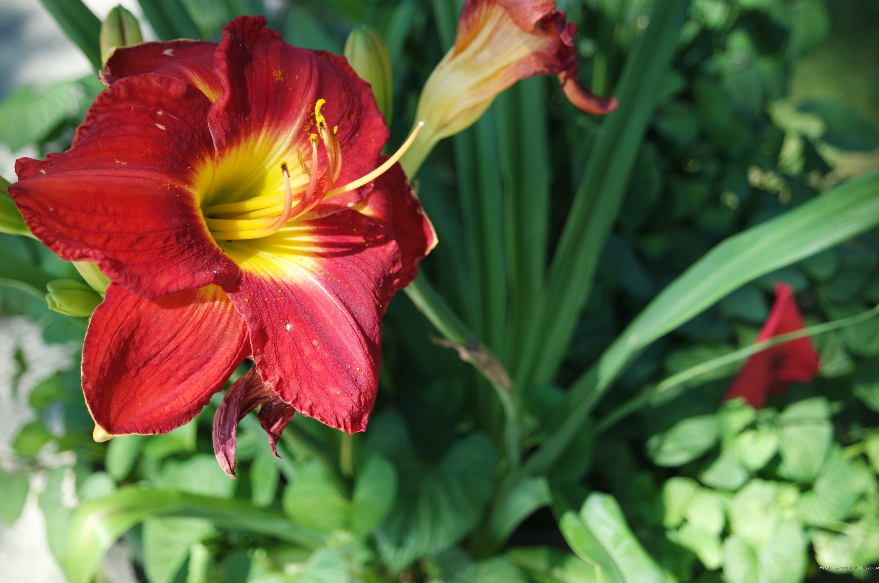 40 Scamman St, Portland ME  04106-4534 exterior