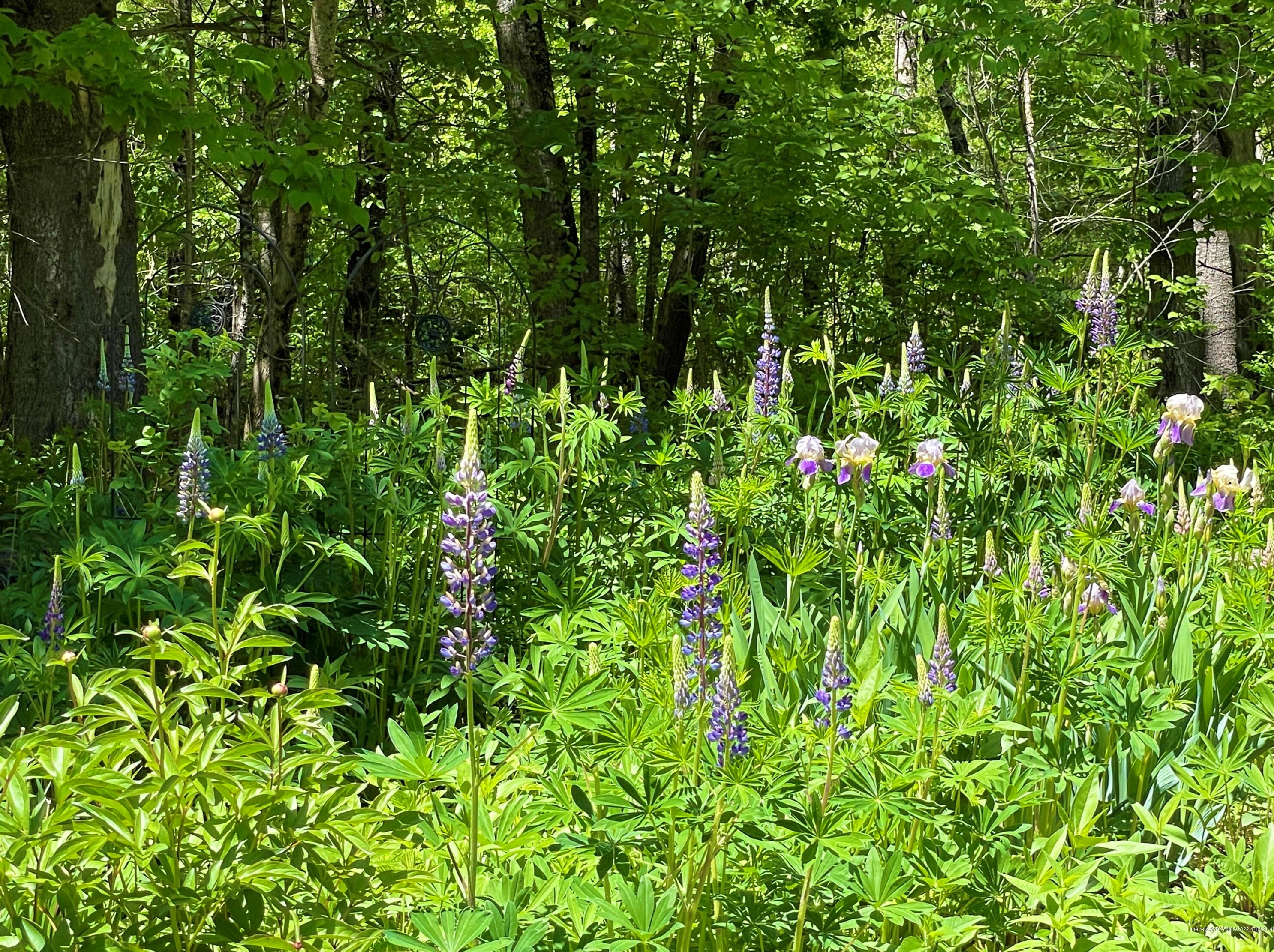 413 Milo Rd, Sebec ME  04481-3237 exterior