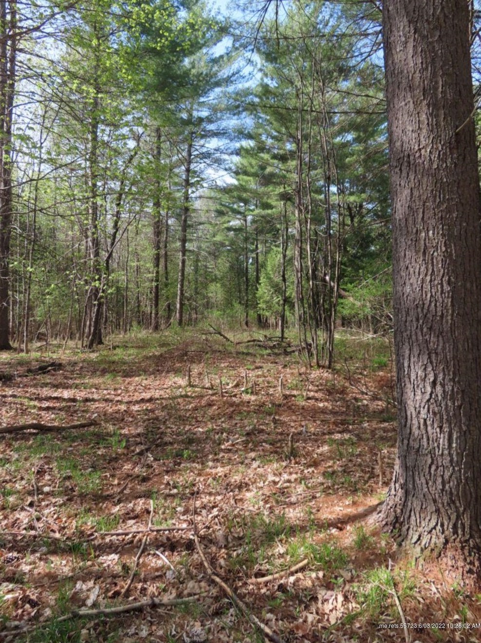 28 Nichols Hill Rd, Concord Township ME  04920-4006 exterior