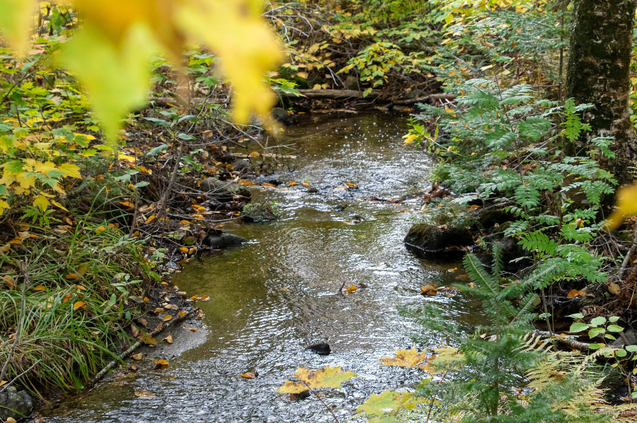 29 North St, Silver Ridge ME  04776-3031 exterior