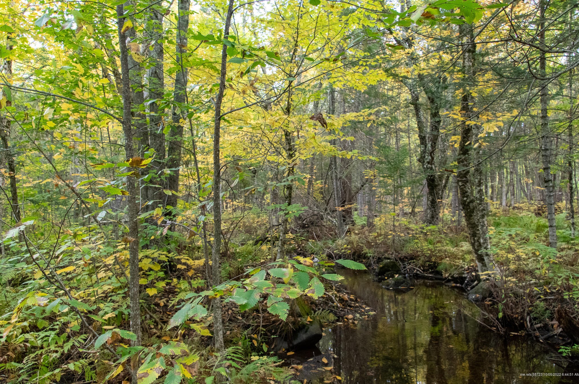 29 North St, Silver Ridge ME  04776-3031 exterior