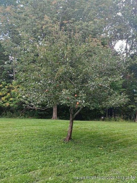 20 Elm St, Sebec ME  04426-1309 exterior