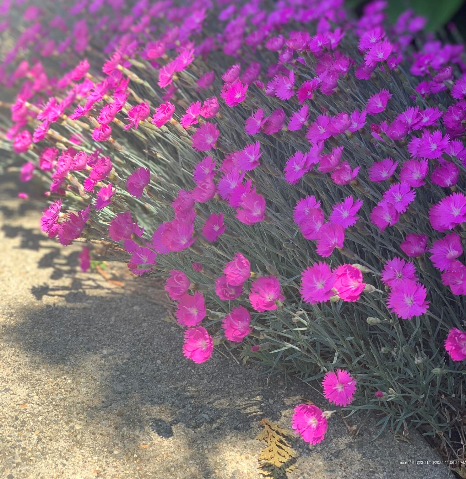 52 Lester Dr, Portland ME  04103-1614 exterior