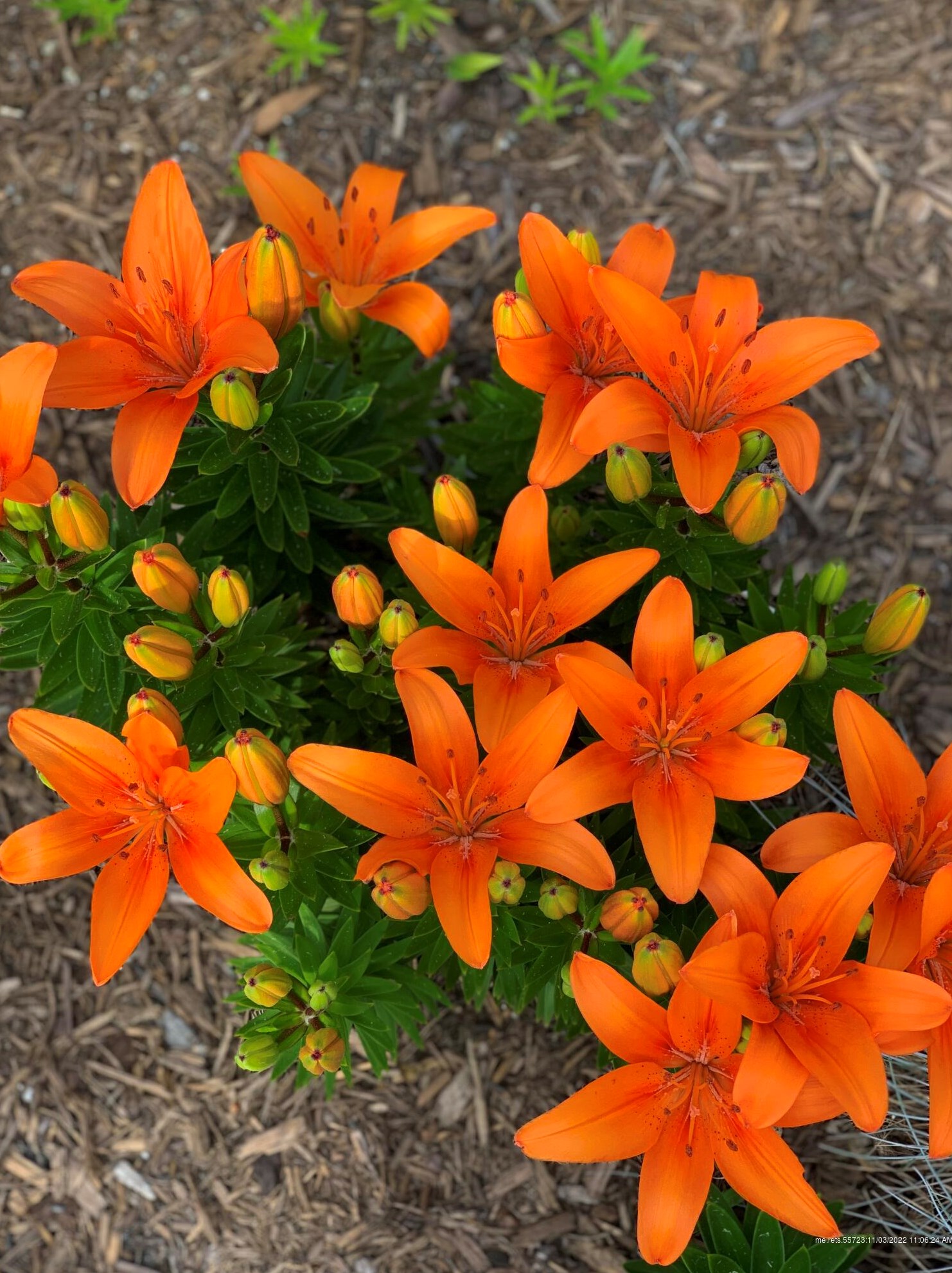 52 Lester Dr, Portland ME  04103-1614 exterior