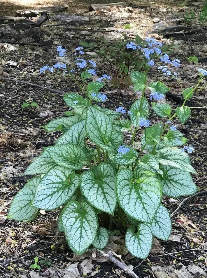 73 High St, Fairfield ME  04937-1349 exterior