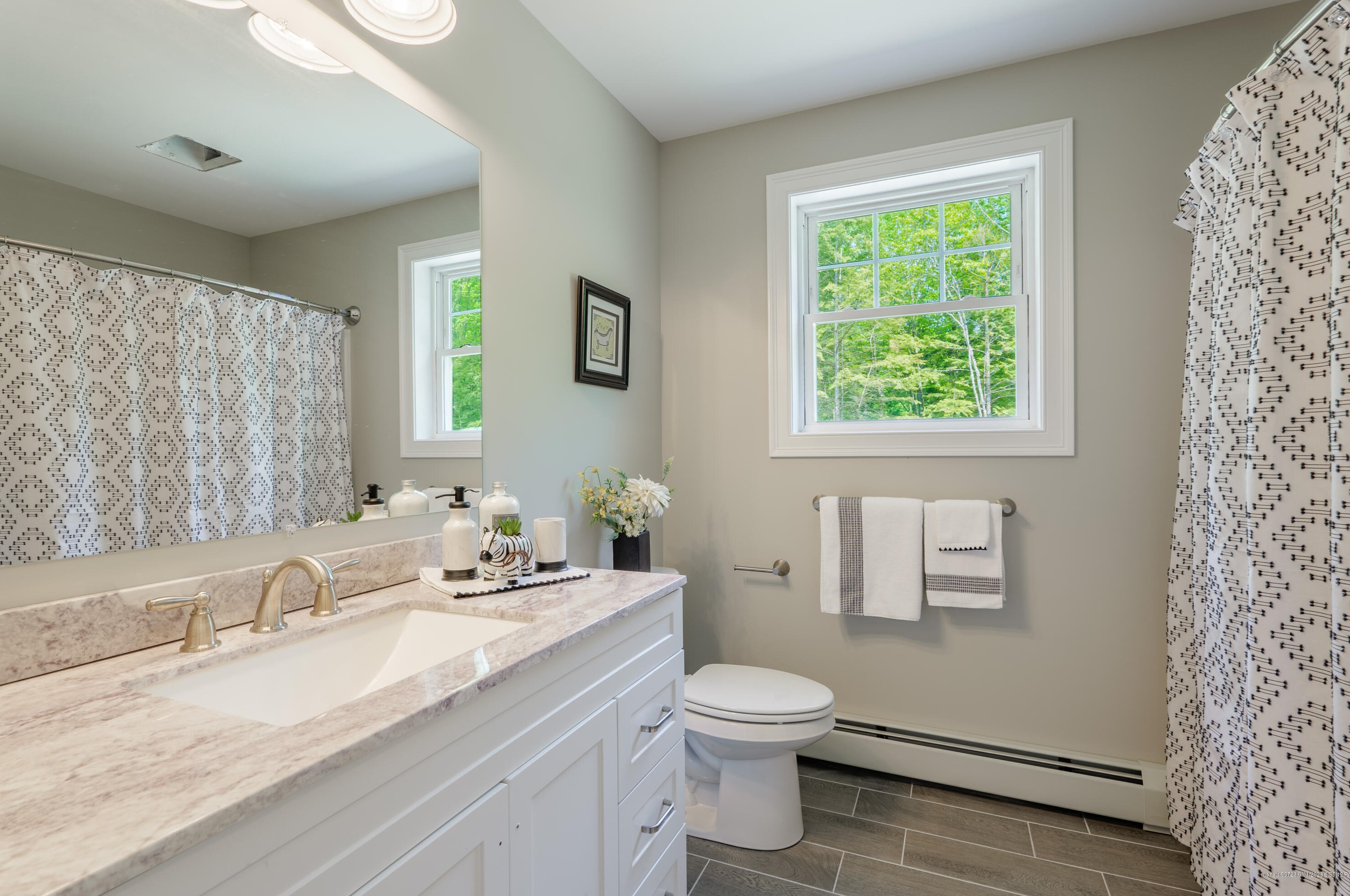 19 Treasure Ln, Windham ME  04062 exterior