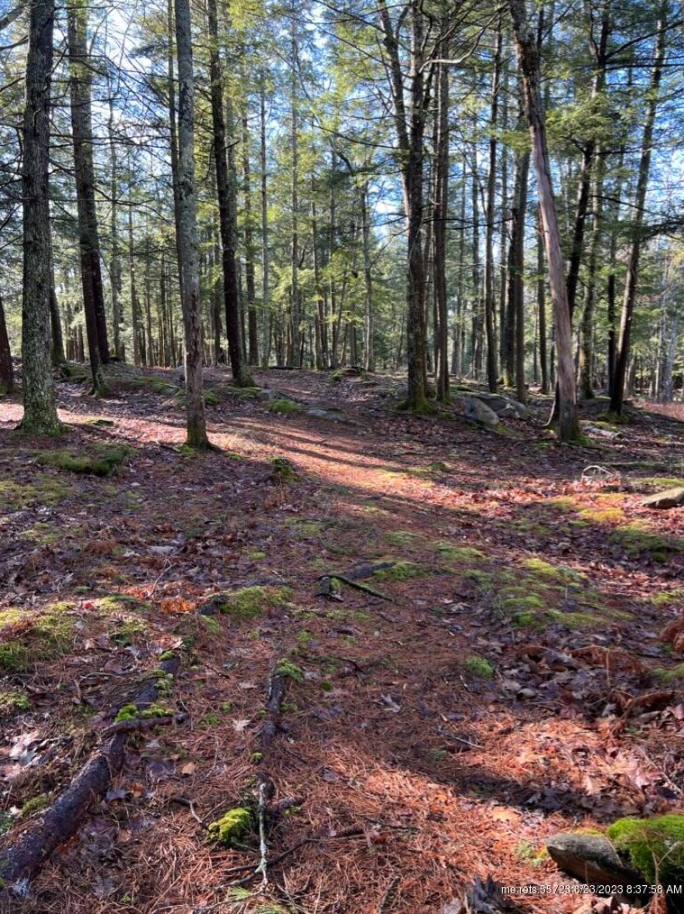 37 Lords Way, Windham ME  04062-4179 exterior