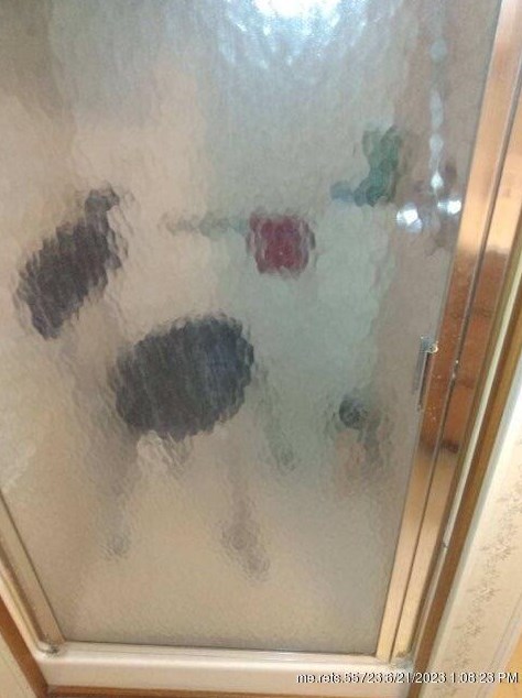 1069 River Ave, Pittston ME  04345-6421 exterior