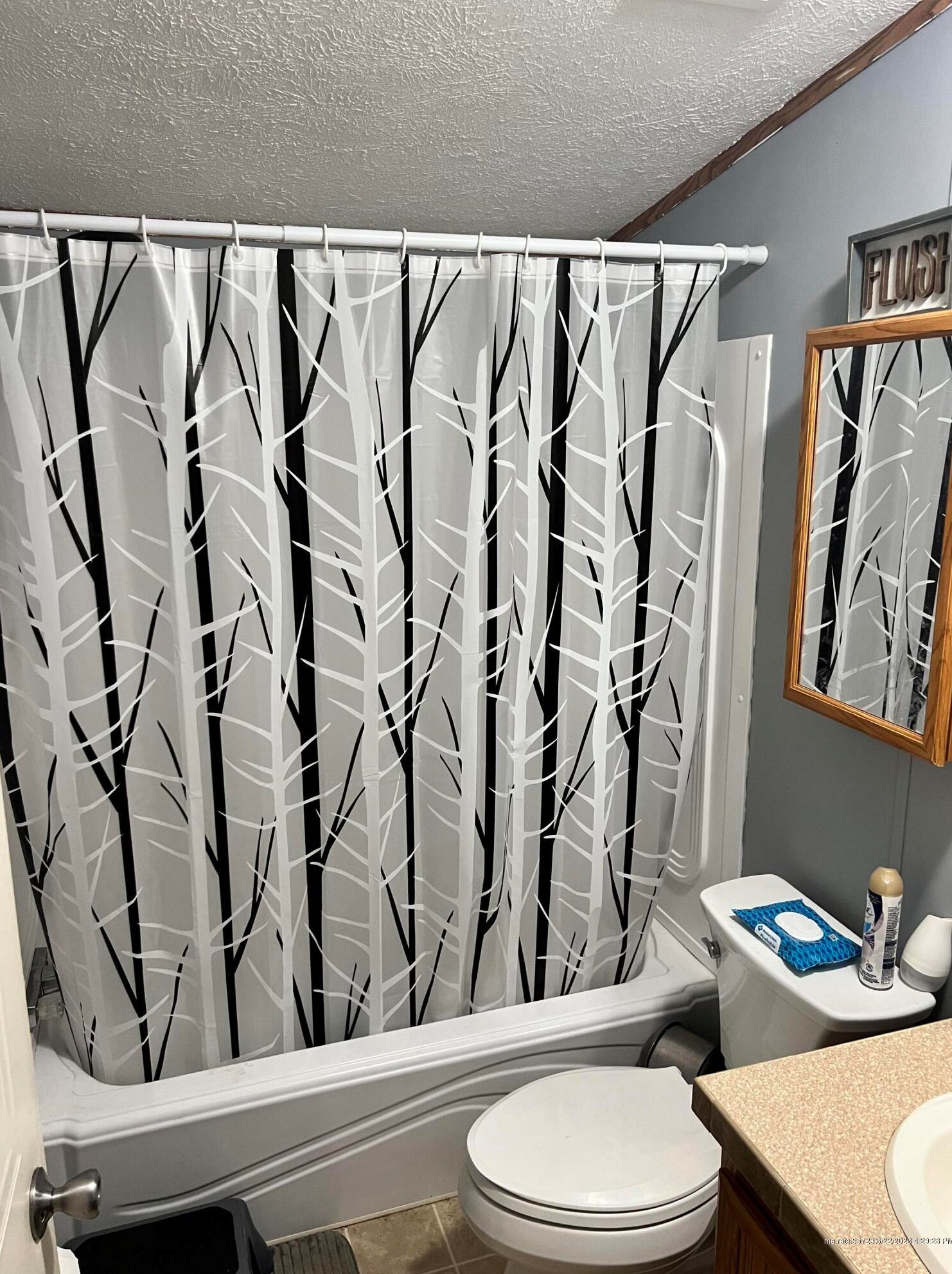 36 Davis St, Sebec ME  04426-1107 exterior