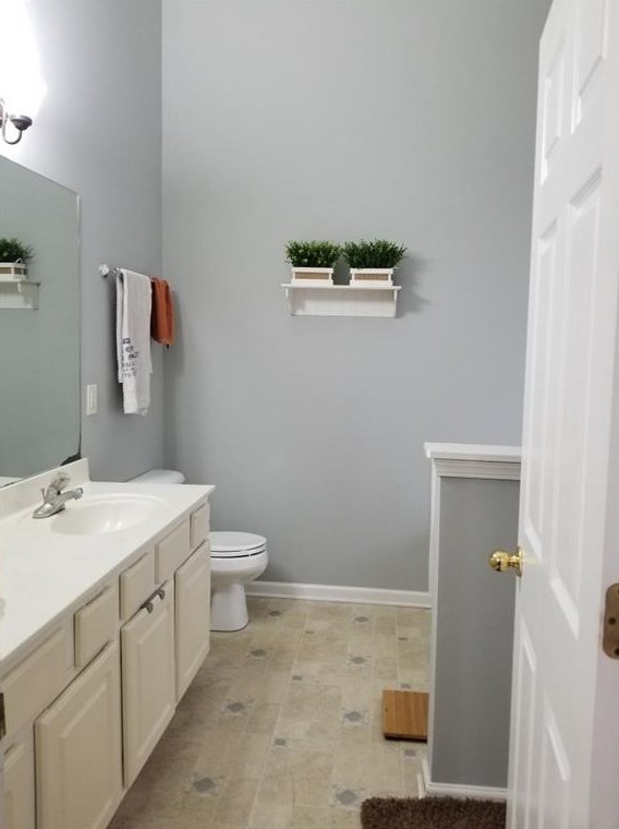 1245 Chimney Trce Way, Lawrenceville GA 30045-7052 exterior