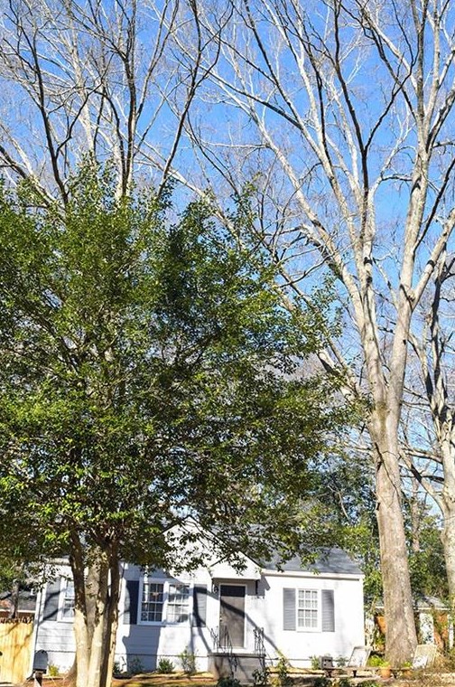 2866 Midway Rd, Decatur GA  30030-4635 exterior