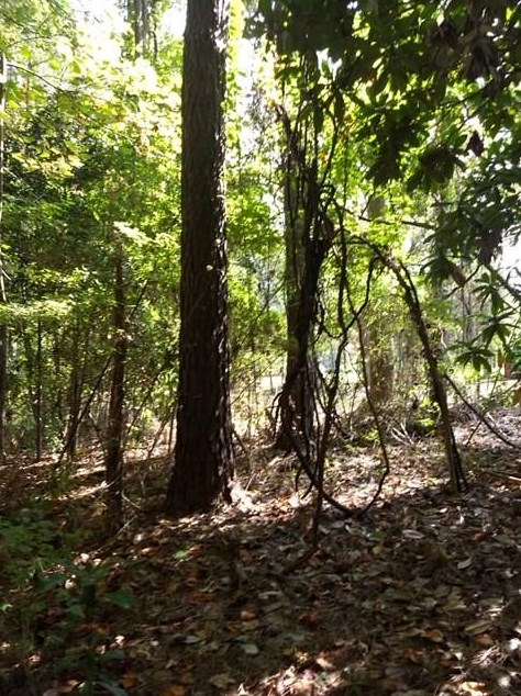 953 Due West Rd, Dallas GA  30157-2524 exterior