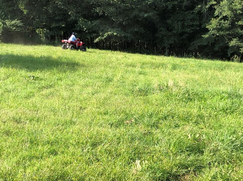 3660 Chestatee Rd, Gainesville GA 30506-3479 exterior