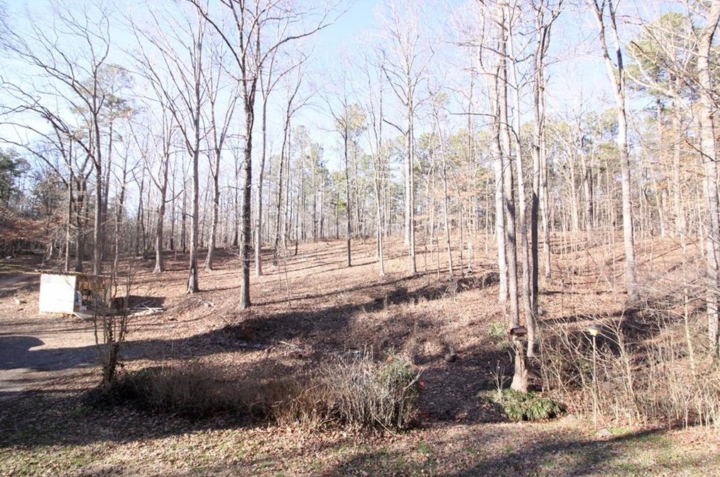 263 Hickory Gap Trl, Dallas GA  30157-5353 exterior