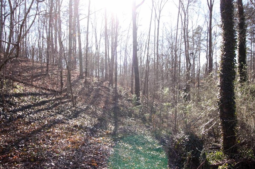 263 Hickory Gap Trl, Dallas GA  30157-5353 exterior