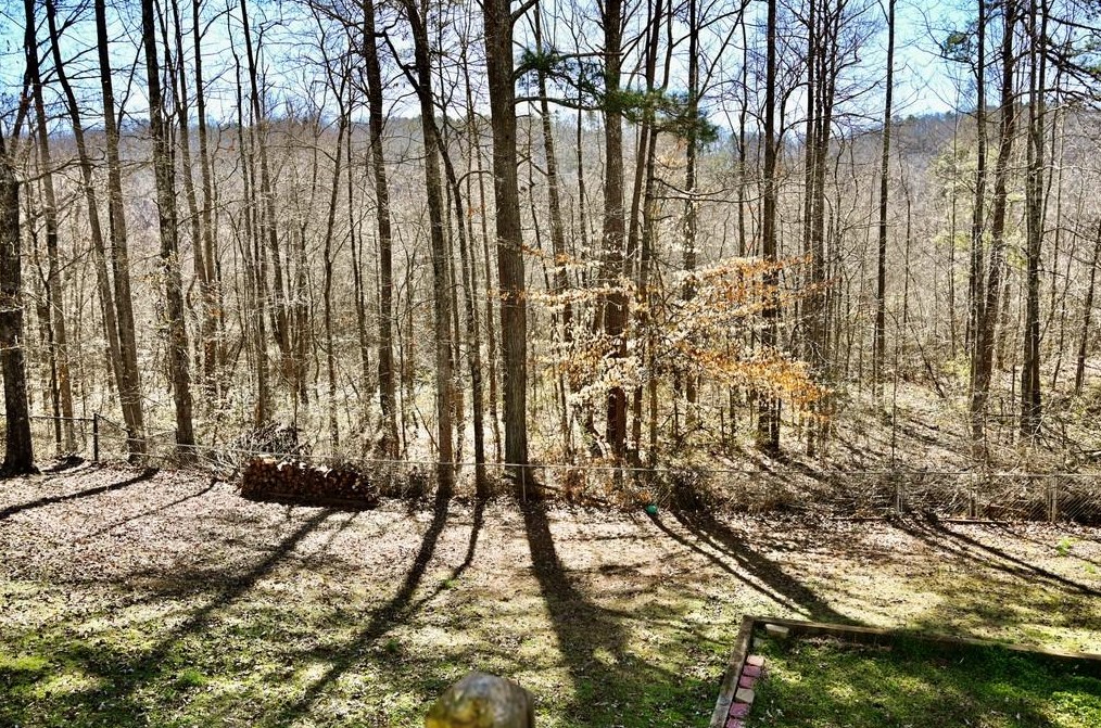 557 Victorian Cir, Dallas GA 30157-8250 exterior