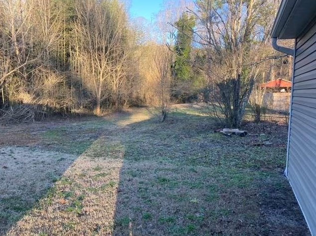 3531 Buchanan St, Dallas GA 30157-3411 exterior